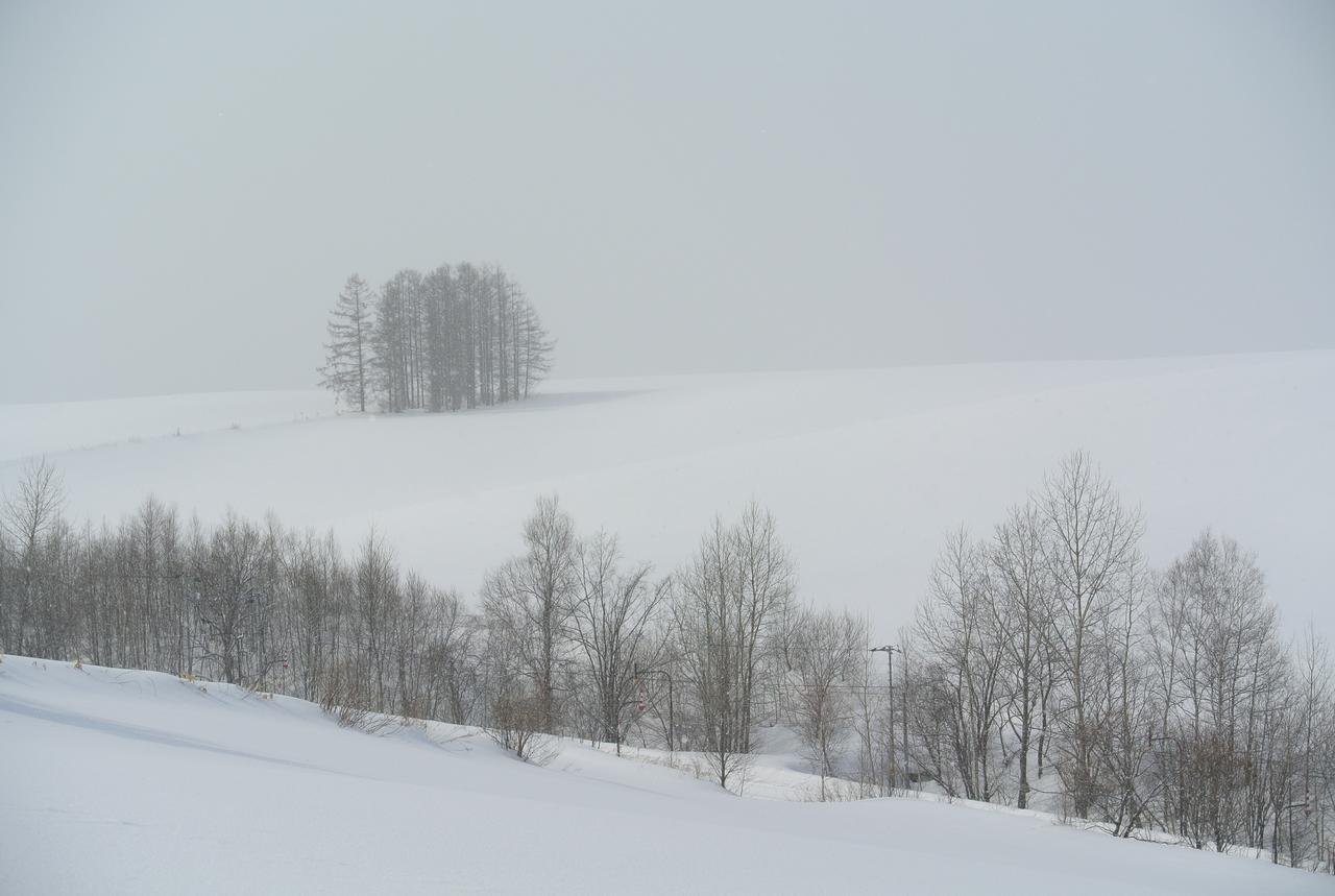 美瑛町惠雪笑颜绽放住宿加早餐旅馆住宿加早餐旅馆 外观 照片