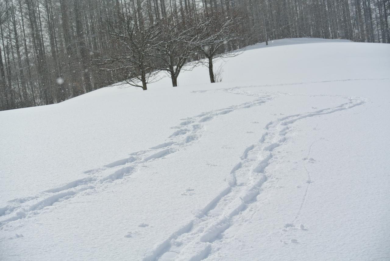 美瑛町惠雪笑颜绽放住宿加早餐旅馆住宿加早餐旅馆 外观 照片